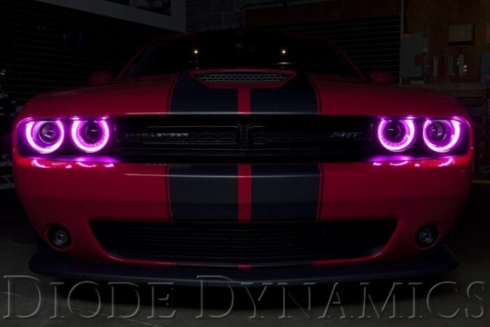 Purple RGBW LED Boards