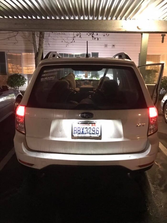 Subaru Forester Pure White LED License Plate Lights