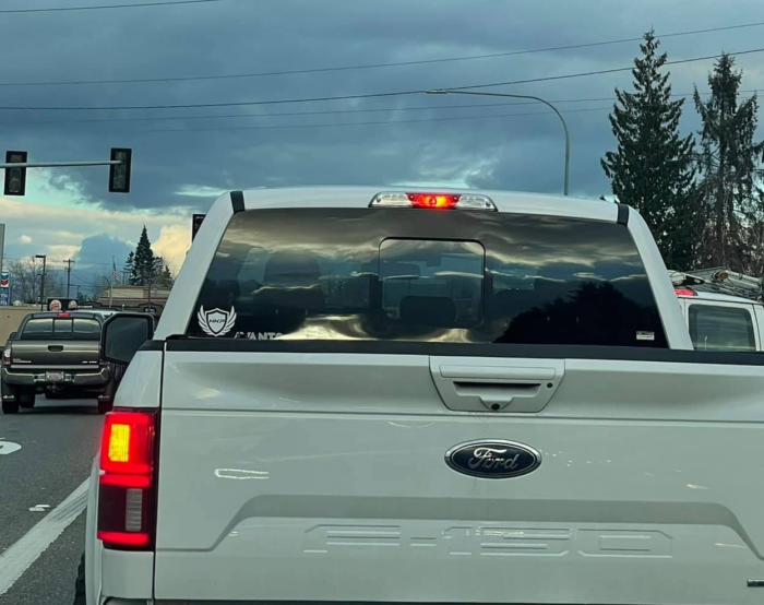 HKP Wings Decal White