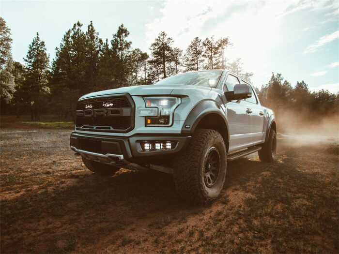 Rigid Ditch Light Brackets F150