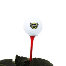 LumaWerx XL Golf Tees